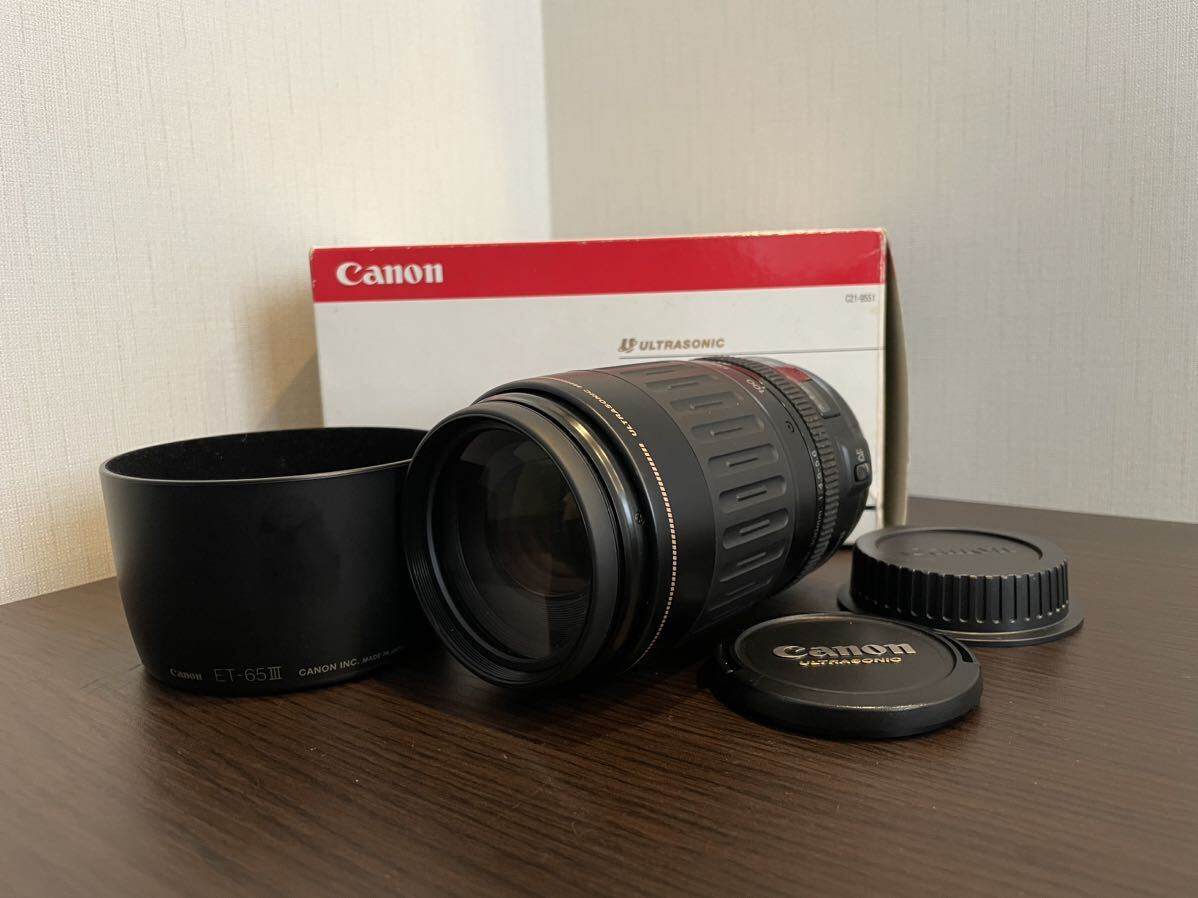 キヤノン Canon EF 100-300mm F4.5-5.6 USMの画像1