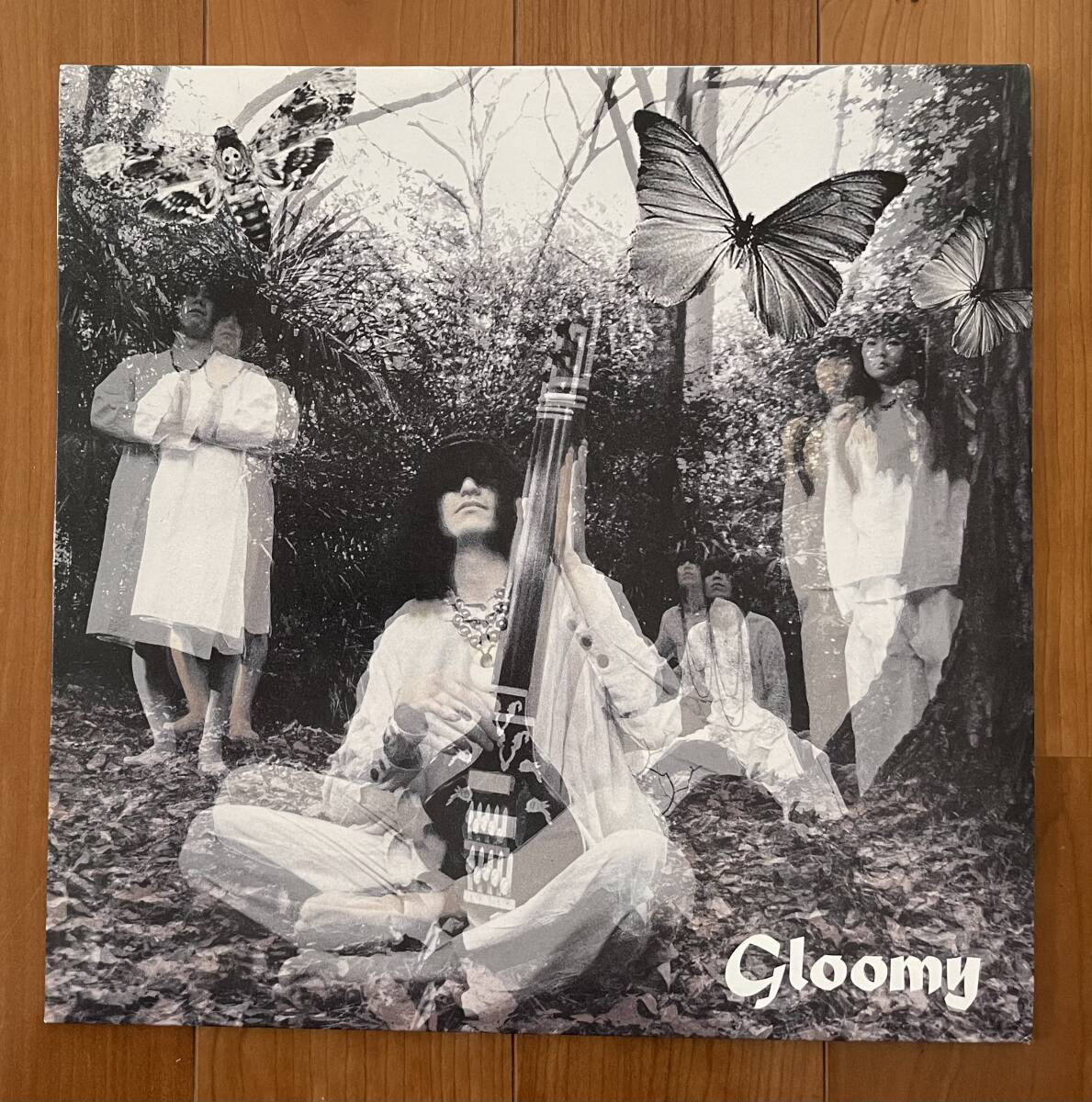LP 限定 カラー盤 毛皮のマリーズ / Gloomy / ドレスコーズ JRSP-009の画像1