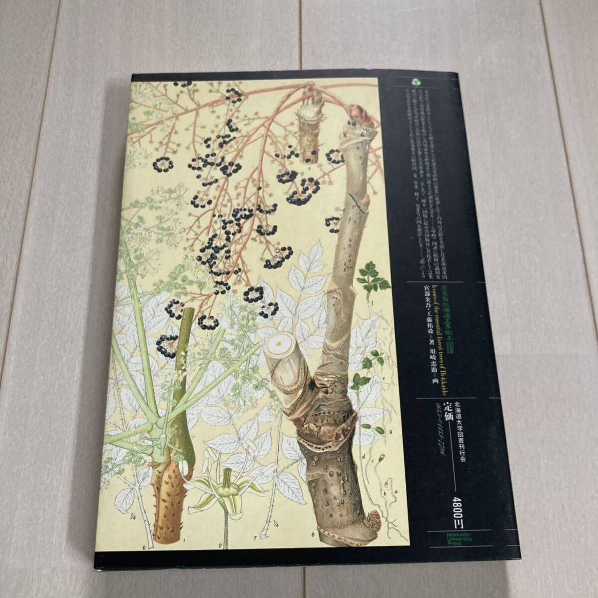 J 1986年発行 「普及版 北海道主要樹木図譜」の画像8