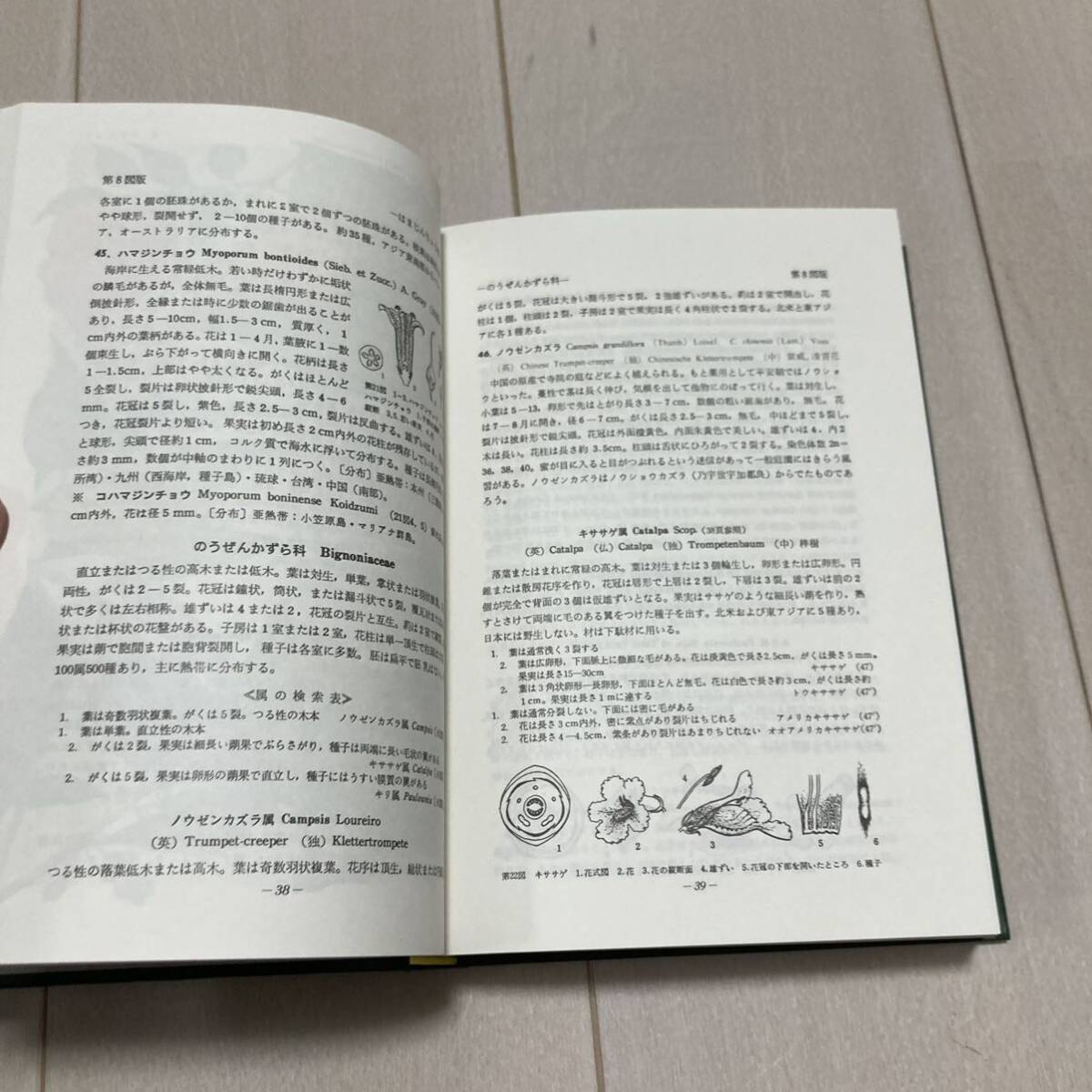 J 平成6年発行 「原色日本植物図鑑・木本編」 2冊一括の画像5