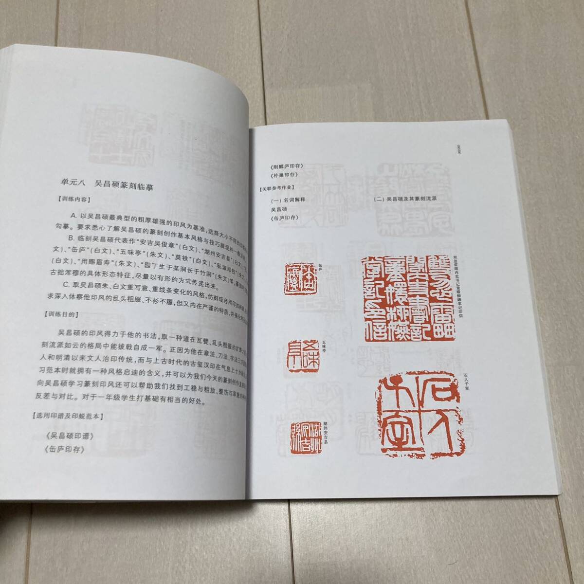 K 2006年発行 唐本 中国 書道 篆刻 「篆刻形式美学的展〇」_画像5