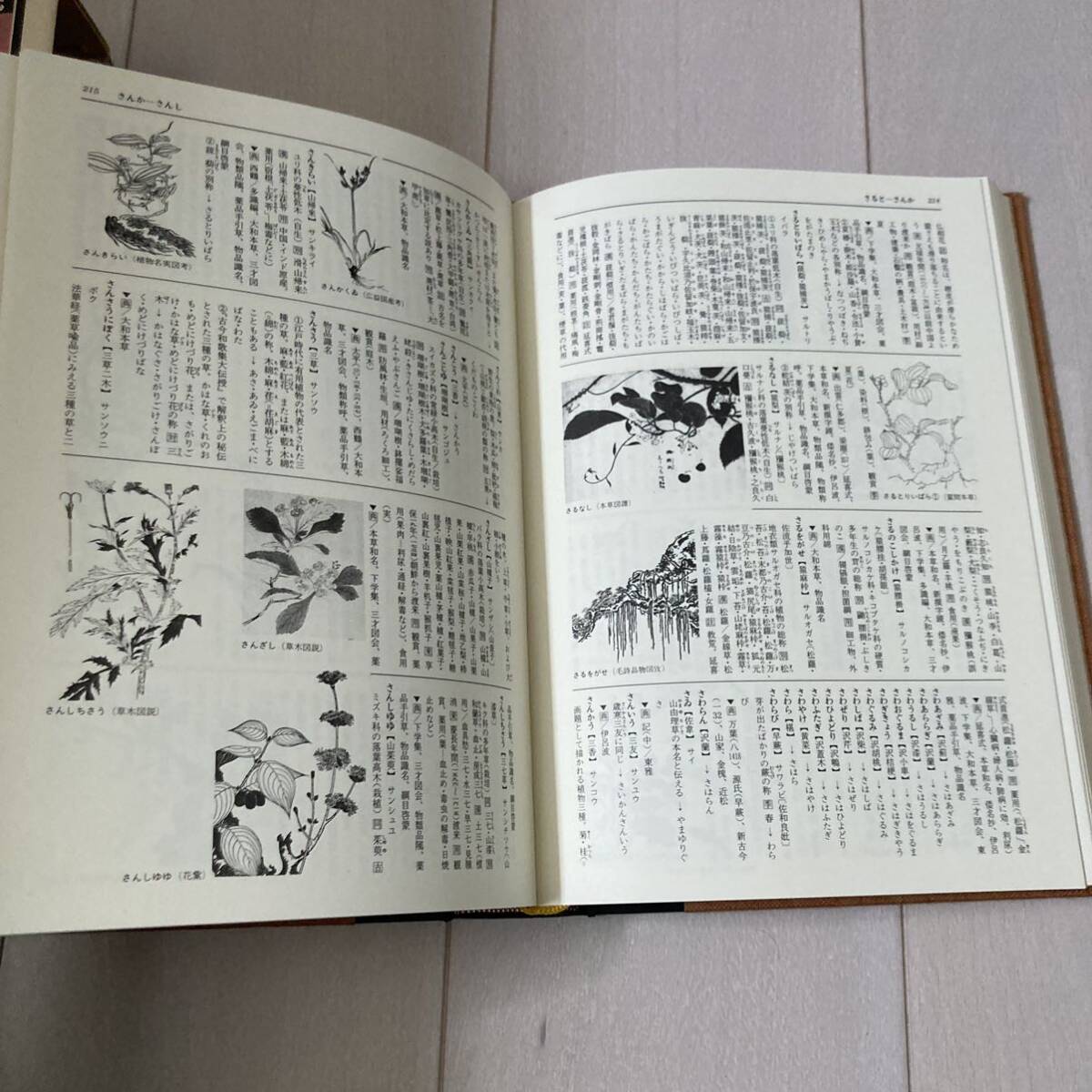 L 1988年発行　「図説　草木辞苑」_画像6