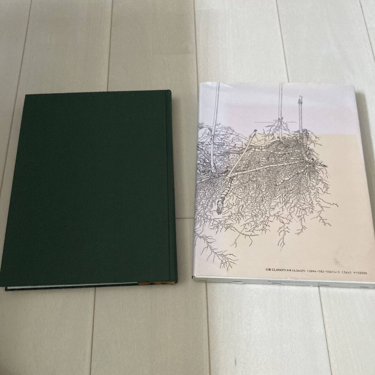 L 1995年初版発行 「日本草本植物根系図説」の画像10