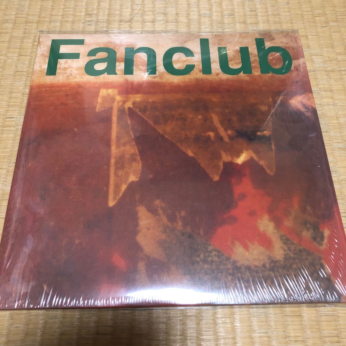 激レア アナログ　CATHOLIC EDUCATION TEENAGE FANCLUB ティーンエイジ・ファンクラブmuro オルガンバー 藤原ヒロシ クボタタケシ 野村訓市_画像1