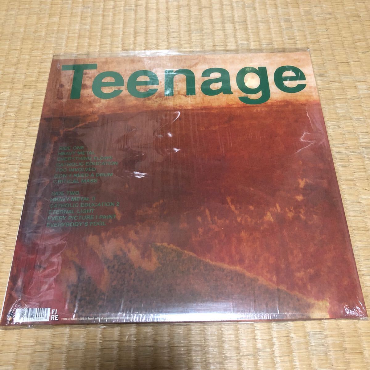 激レア アナログ　CATHOLIC EDUCATION TEENAGE FANCLUB ティーンエイジ・ファンクラブmuro オルガンバー 藤原ヒロシ クボタタケシ 野村訓市_画像2