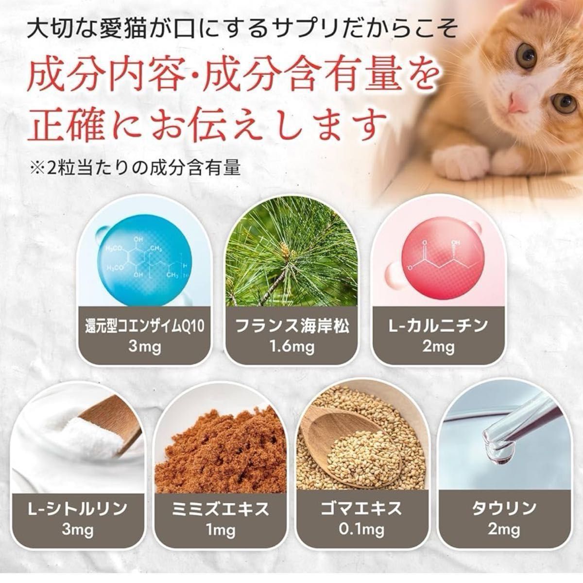 猫用の心臓の健康維持サプリ「猫用サプリ・毎日健心」＜カツオ味錠剤 １袋60粒入＞2袋×2 計4袋