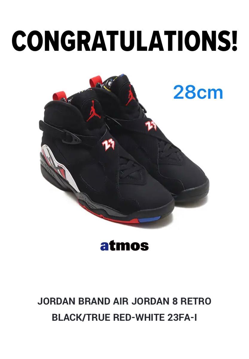 Nike Air Jordan8 Retro"Playoffs" 28cm (2023)