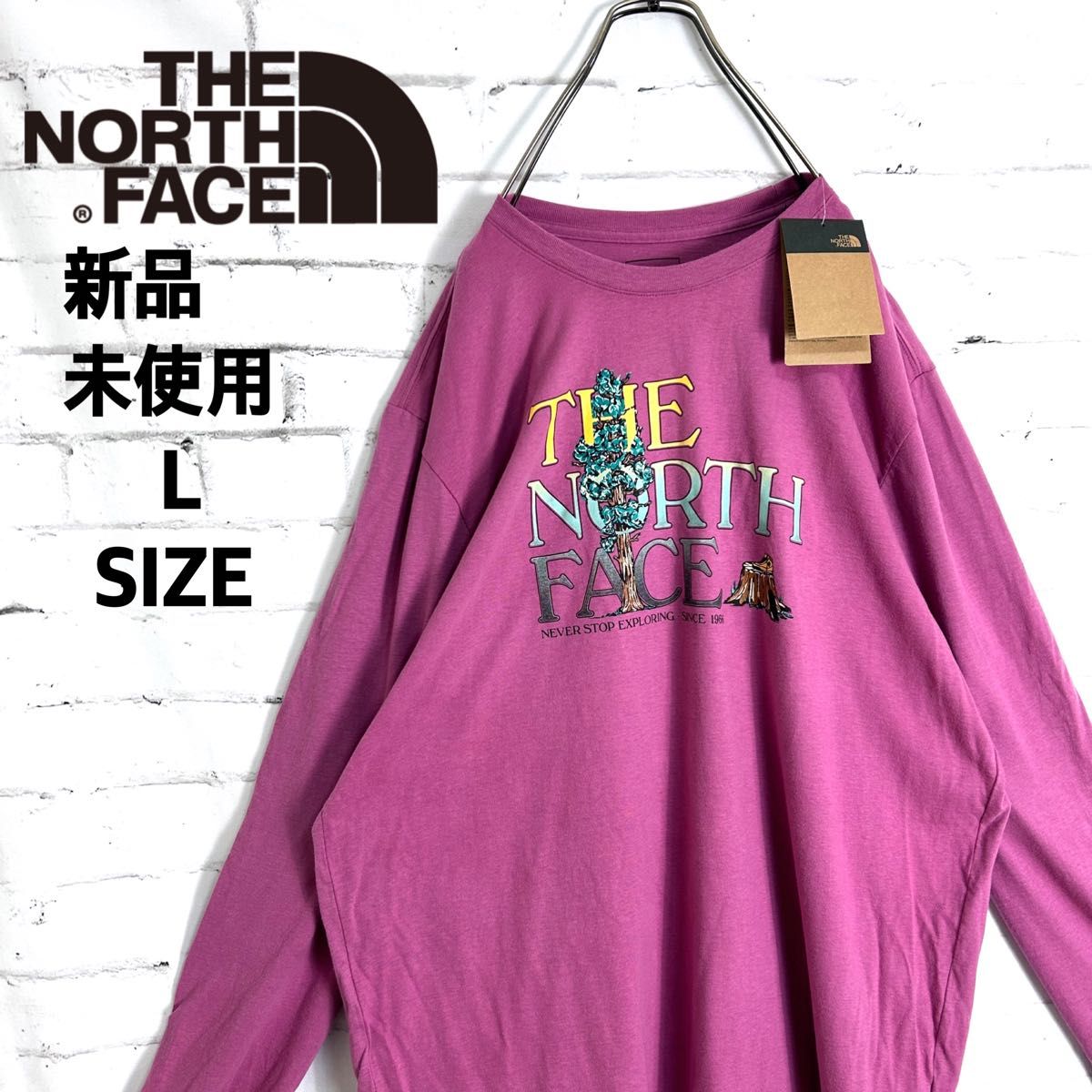 新品未使用タグ付き!! 海外限定 希少 ノースフェイス ピンク ロンT XLサイズ THE NORTH FACE 長袖