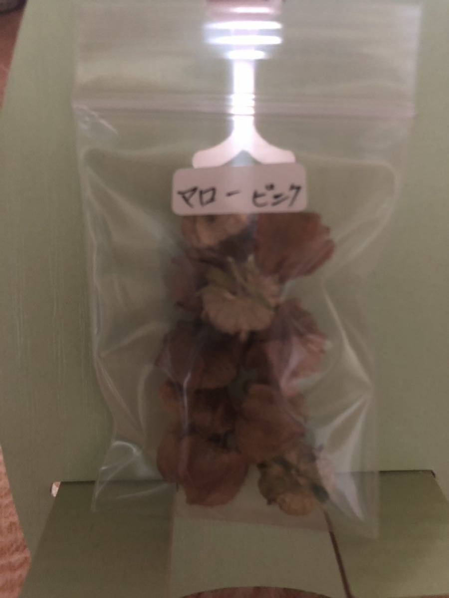 ムスクマロー 種 ピンク 宿根草 可愛い 花殻約10個 北海道よりの画像7
