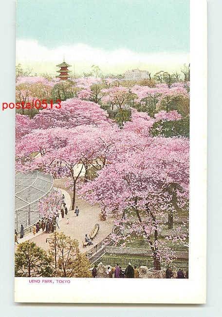 Xa1324●東京 上野公園の桜 鳥瞰【絵葉書】_画像1