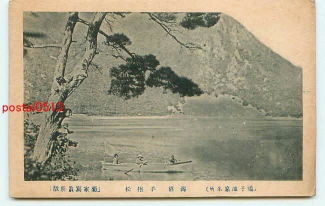 M8251●宮城 鳴子温泉 潟沼 手沼松【絵葉書】_画像1