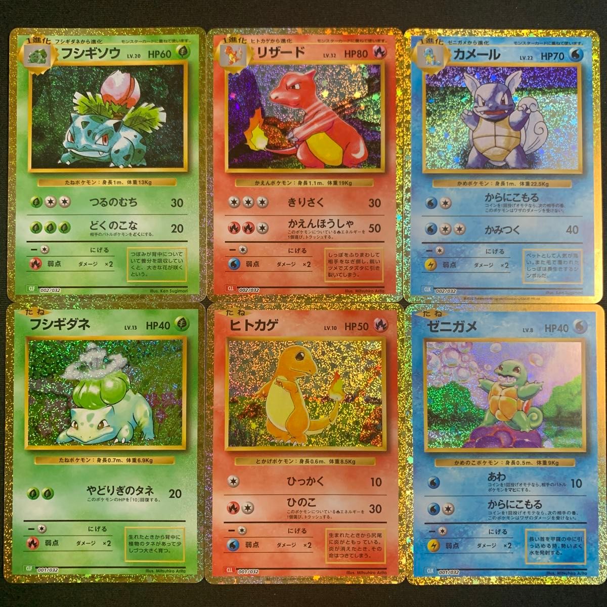 フシギダネ フシギソウ ヒトカゲ リザード ゼニガメ カメール フシギダネ フシギソウ ヒトカゲ リザード ゼニガメ カメール