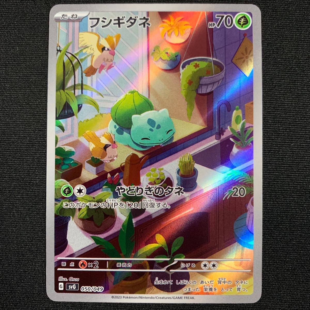 スペシャルデッキセット フシギダネ ゼニガメ ar フシギダネ AR ゼニガメ AR スペシャルデッキセットex|Yahoo