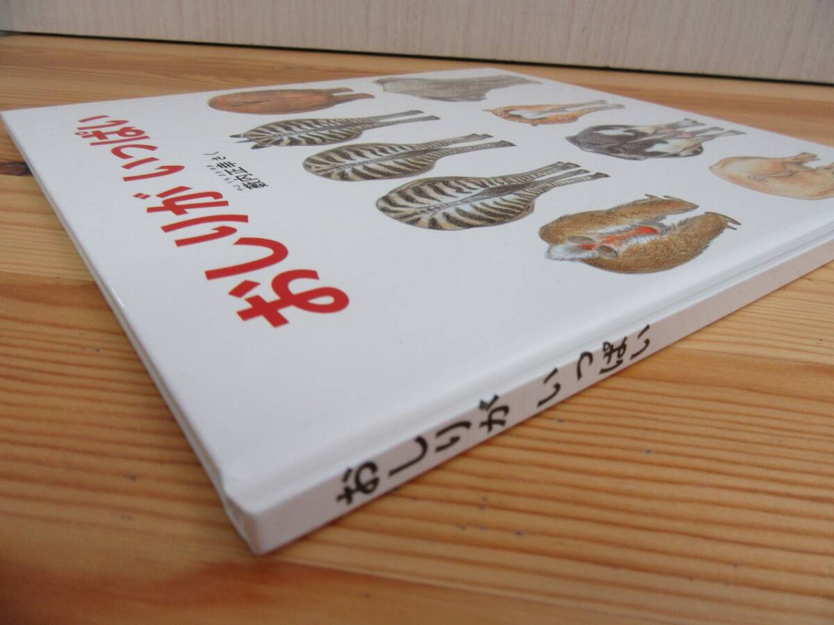 【4-43】絵本『おしりがいっぱい』薮内正幸　福音館書店　古本