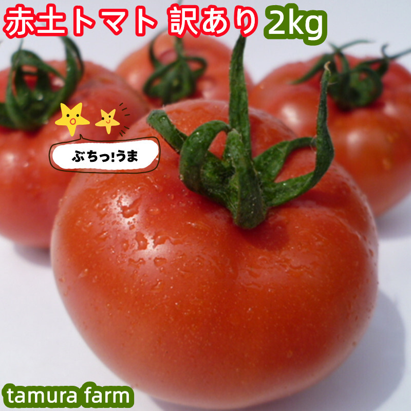 訳あり 赤土トマト ２ｋｇ 訳アリ 大玉トマト 大玉とまと 高糖度 トマト 旨味 ミネラル成分 豊富 とまと ビタミンC リコピン お試し 自宅用_画像1