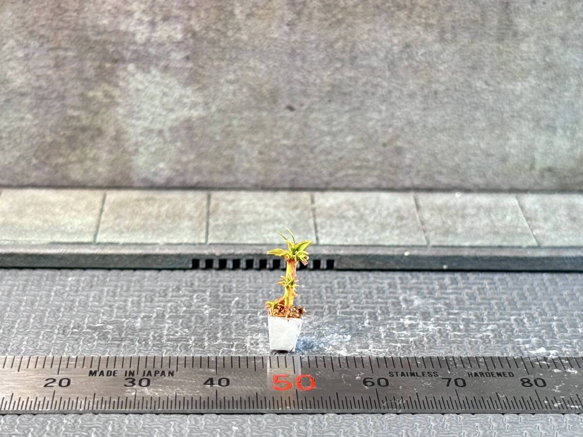 【MC-195】1/64 スケール 観葉植物 鉢 フィギュア ミニチュア ジオラマ ミニカー トミカ_画像4