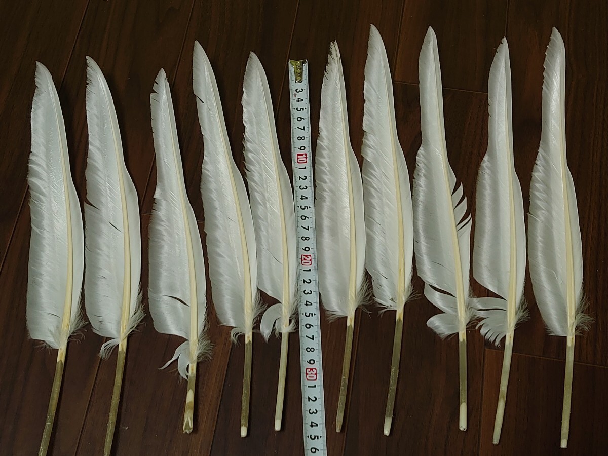 グース（Goose）の羽根 左右各10枚 近的矢と遠的矢 其々6本組めるセットの画像2