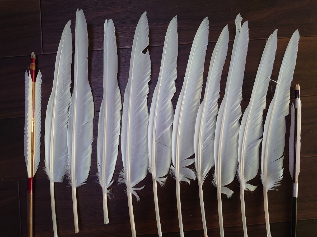 グース（Goose）の羽根 左右各10枚 近的矢と遠的矢 其々6本組めるセットの画像4