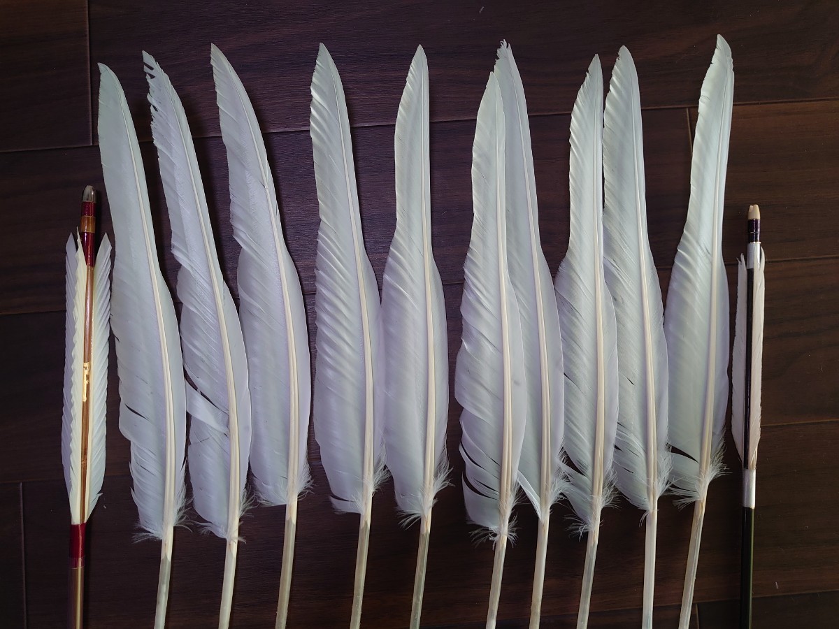 グース（Goose）の羽根 左右各10枚 近的矢と遠的矢 其々6本組めるセットの画像3