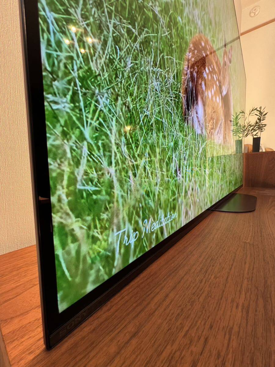 65インチ有機ELテレビ SONY BRAVIA KJ-65A9Gの画像8