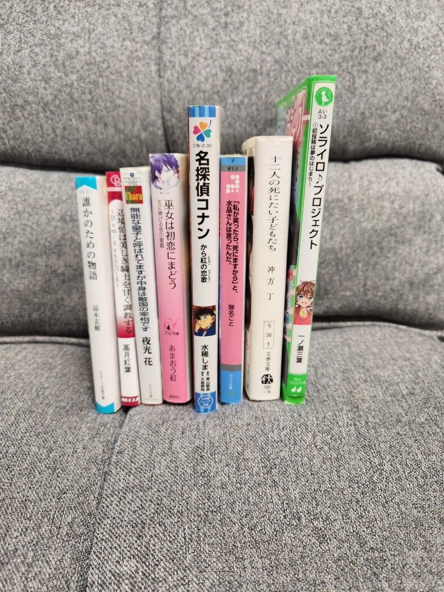 小説まとめ売り！ 