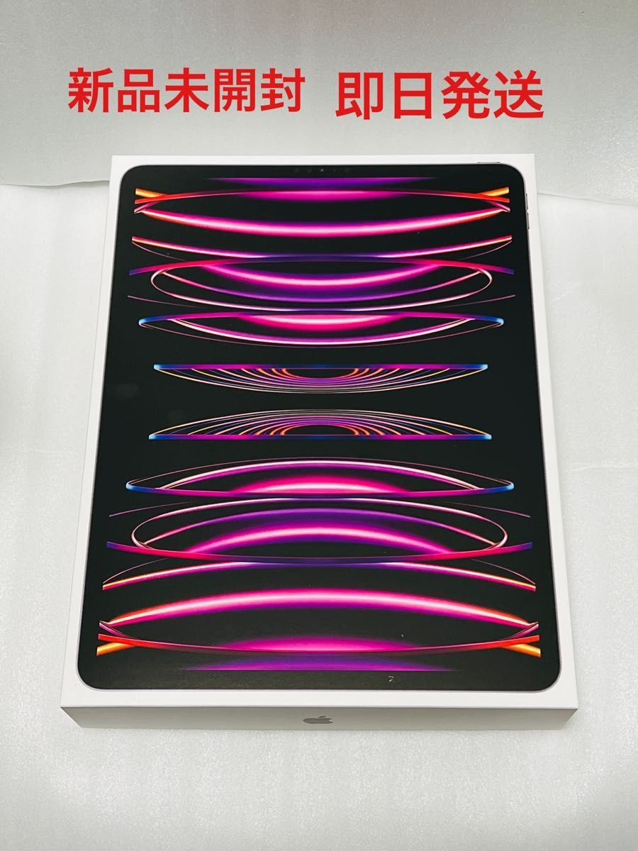 iPad Pro 12.9インチ 第6世代 Wi-Fi 128GB 2022年秋モデル MNXP3J/A [スペースグレイ] 