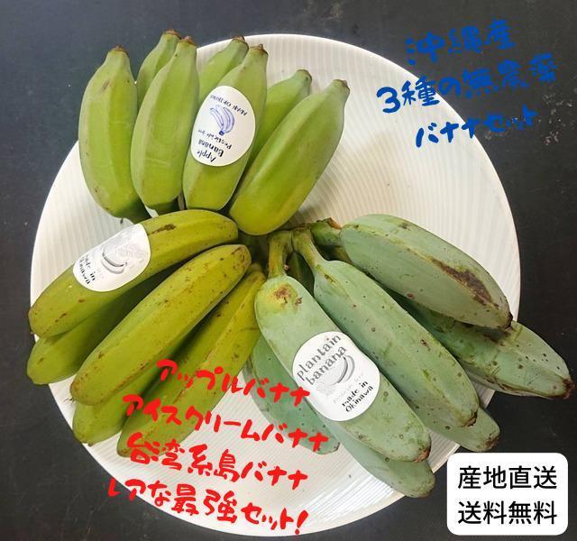 沖縄本島北部産！人気の国産バナナ３種！食べ比べ！３種バナナセット！ _画像1