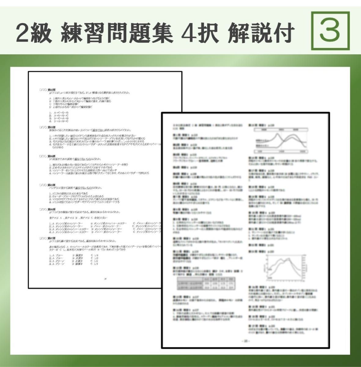 日本化粧品検定 2級 完全対策問題集 2024 解説付 即日発送