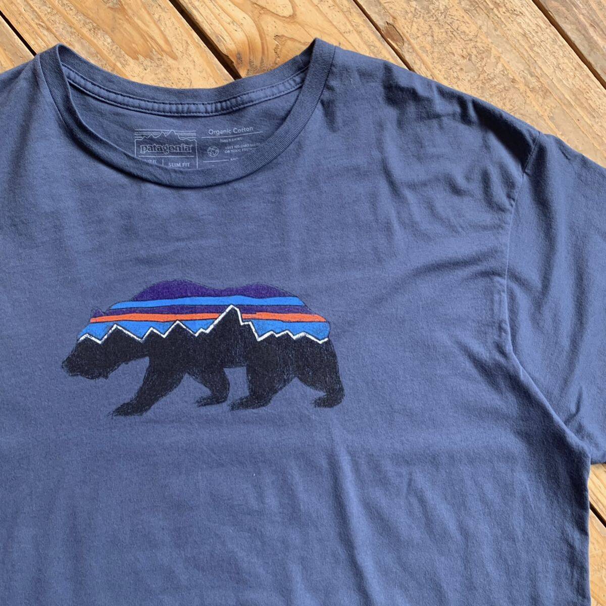 USA古着 patagonia パタゴニア 半袖Tシャツ メンズ XLサイズ カットソー 胸ロゴ オーガニックコットン 春物 夏物 スリムフィット T2478_画像1