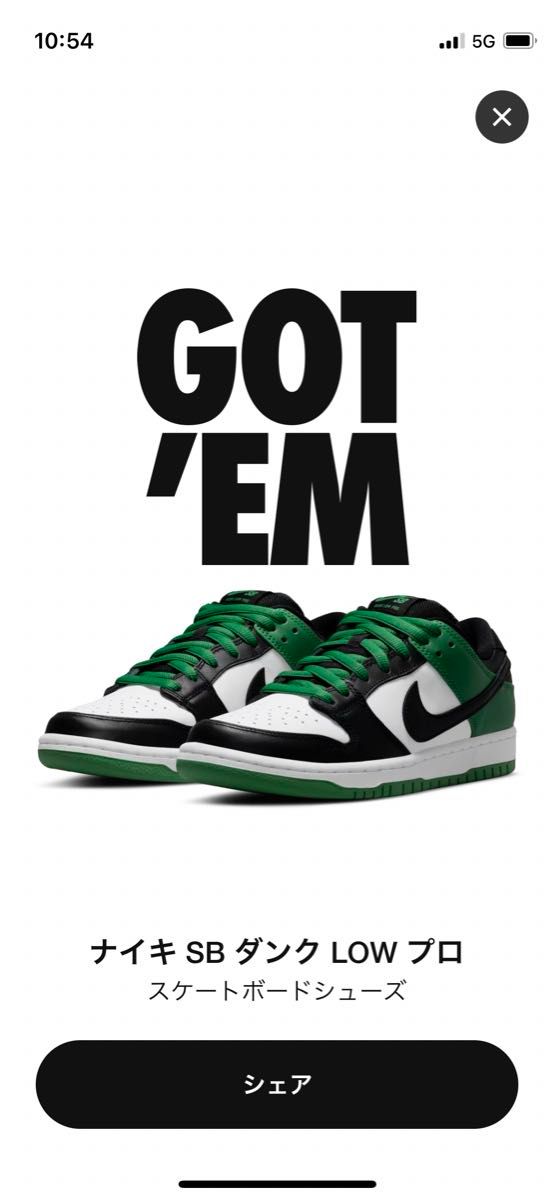 snkrs当選 US9.5 NIKE SB Dunk Low Pro Black and Classic Green ナイキ 