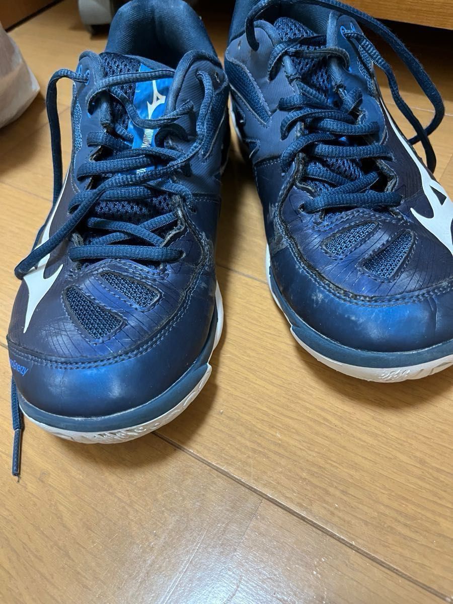 バドミントン シューズ ウエーブクロー 2 ミズノ MIZUNO