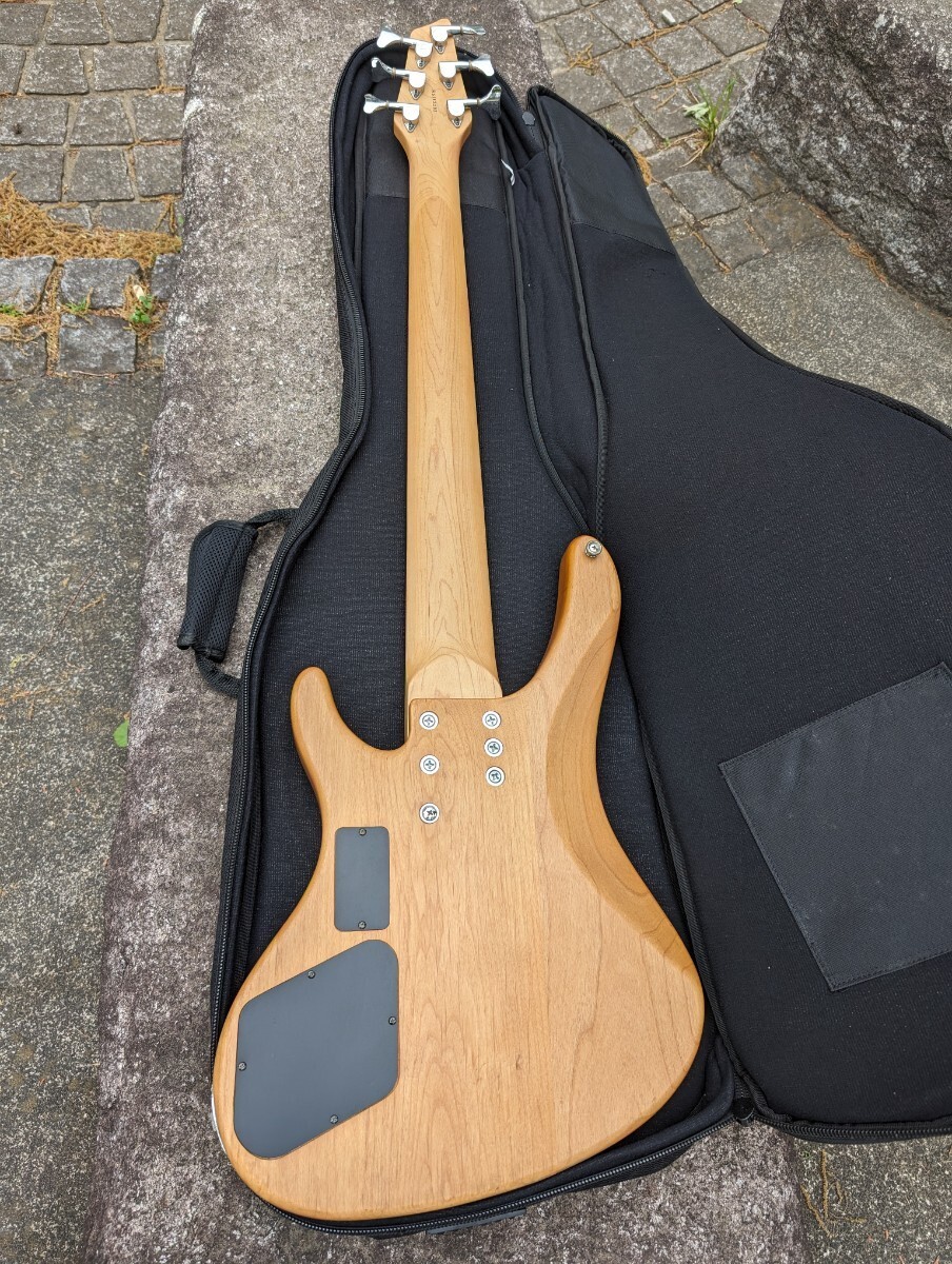 貴重Washburn６弦ベース 名器XB-600 定価11万円の画像6