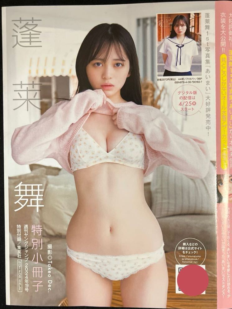 蓬莱舞★小冊子6点セット！の画像2