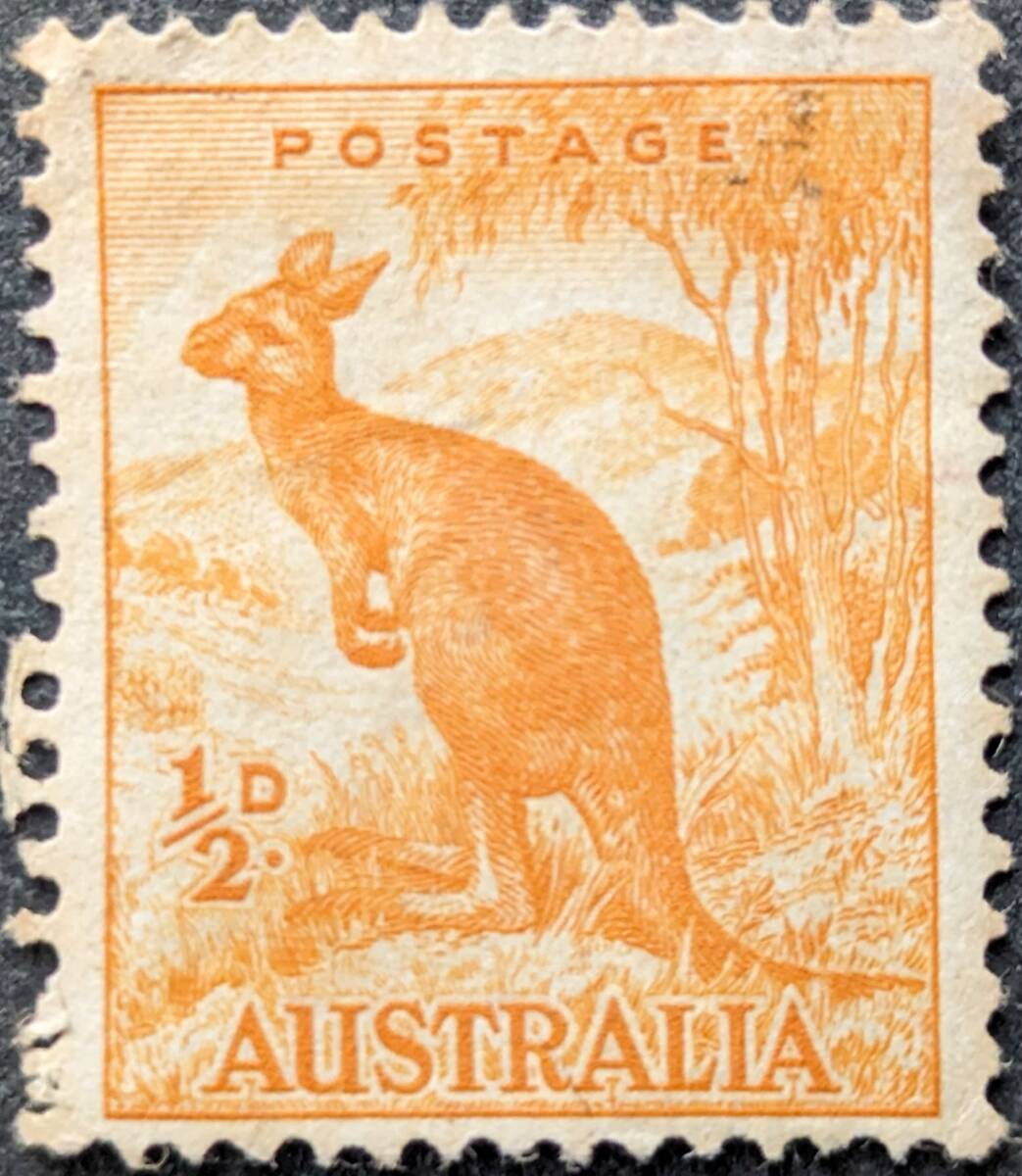 【外国切手】 オーストラリア 1937年05月10日 発行 普通切手 マクロプス・ルーファス 未使用