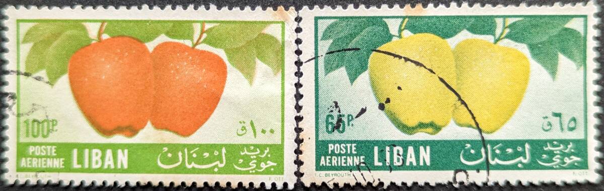 【外国切手】 レバノン 1955年10月15日 発行 航空便 - 果物 シドニア・オブロンガ 消印付き_画像1