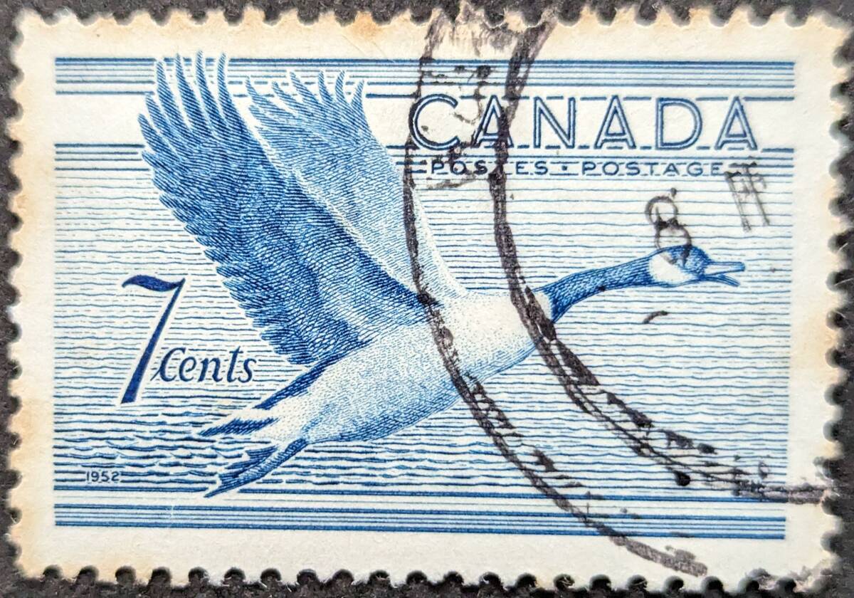 【外国切手】 カナダ 1952年11月03日 発行 鳥類 - カナダグース 消印付き_画像1