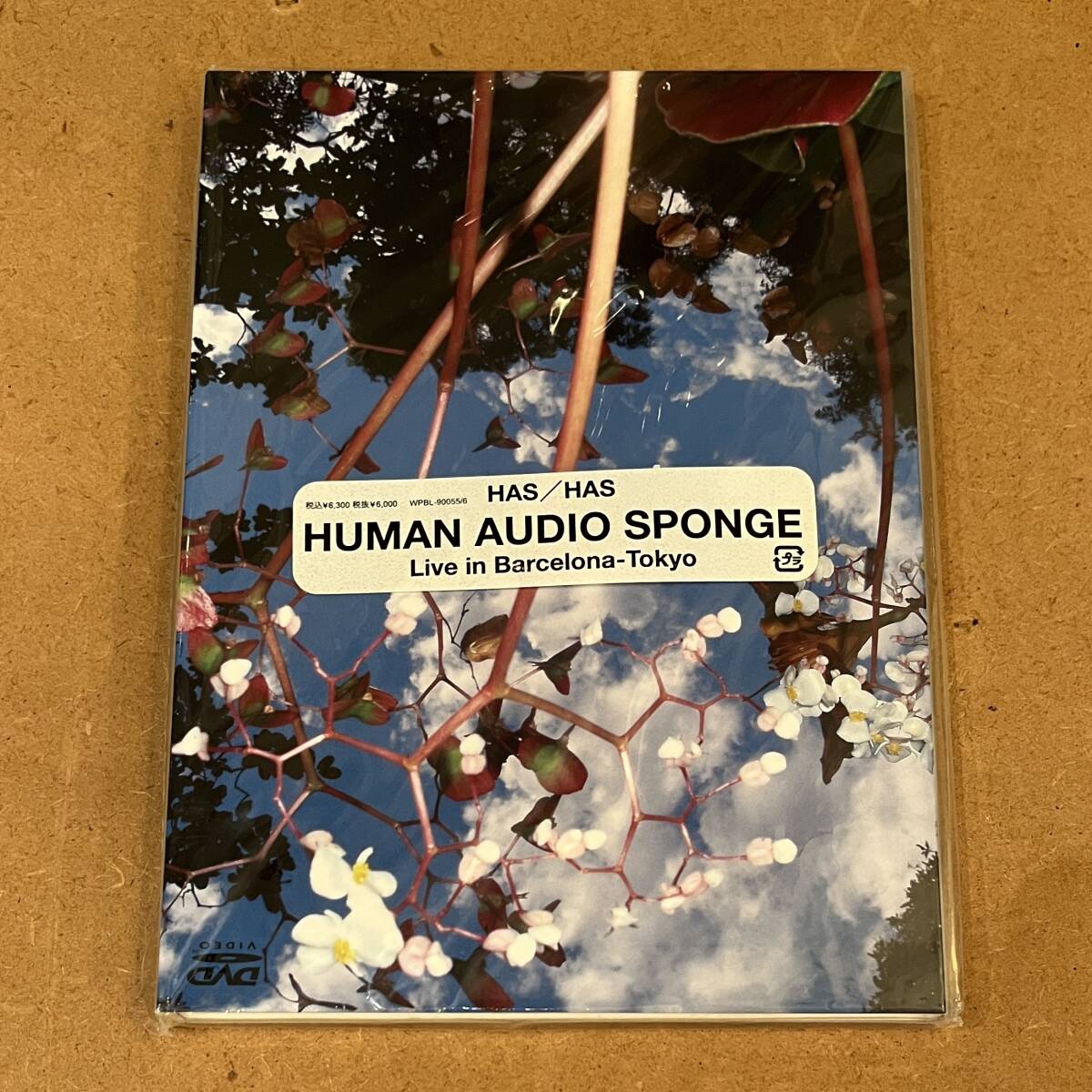 ■状態良好!2枚組DVD■Human Audio Sponge / Live In Barcelona - Tokyo (WPBL-90055/6) 細野晴臣 高橋幸宏 坂本龍一 YMOの画像1