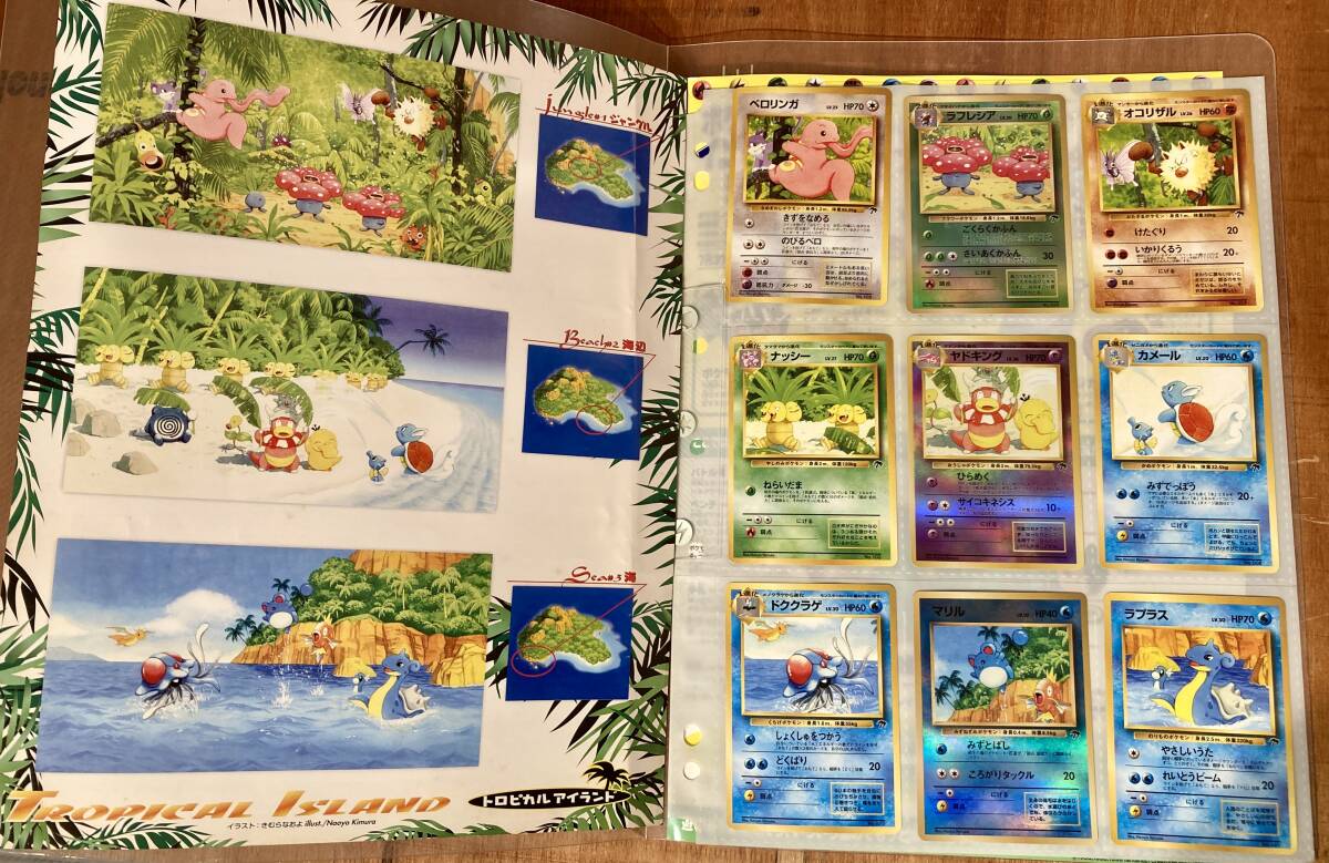 ■美品!■プレミアムファイル サザンアイランド 旧裏 ポケモンカード トロピカルアイランド Pokemon Promo old back top condition promo _画像2