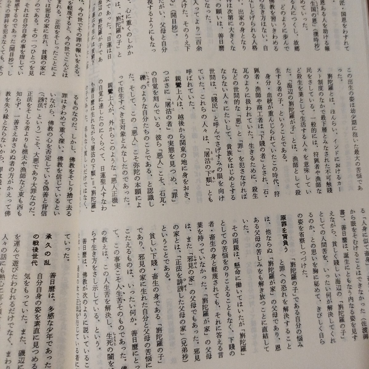 日蓮聖人大事典 平成元年 仏教 検）仏陀浄土真宗浄土宗真言宗天台宗日蓮宗空海親鸞法然密教禅宗 戦前明治大正古書和書古文書写本OI_画像9