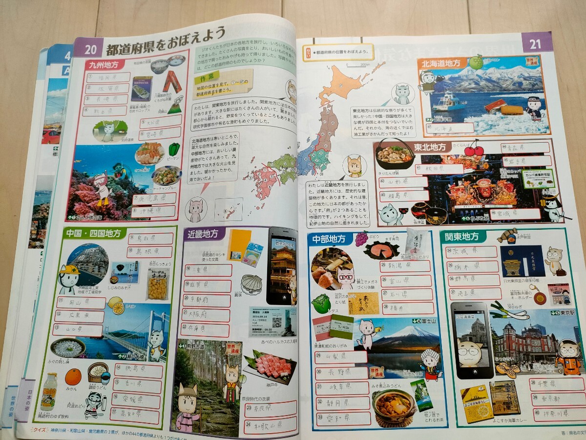 即決！アクティブ地理 世界　作業する資料集 中学生　社会_画像9