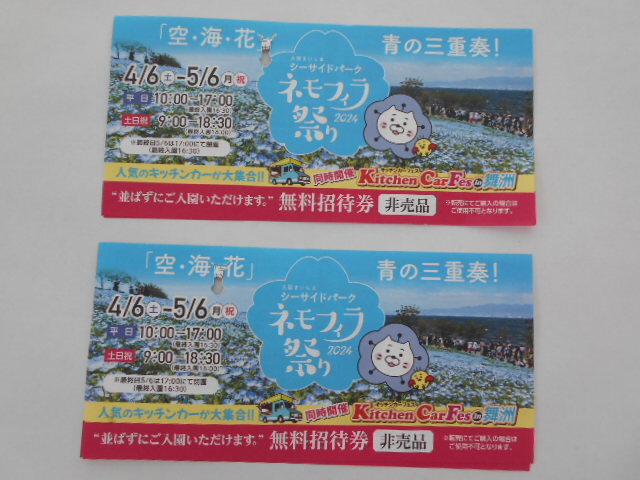 大阪舞洲シーサイドパーク　ネモフィラ祭り　招待券2枚　即決は送料無料とします _画像2