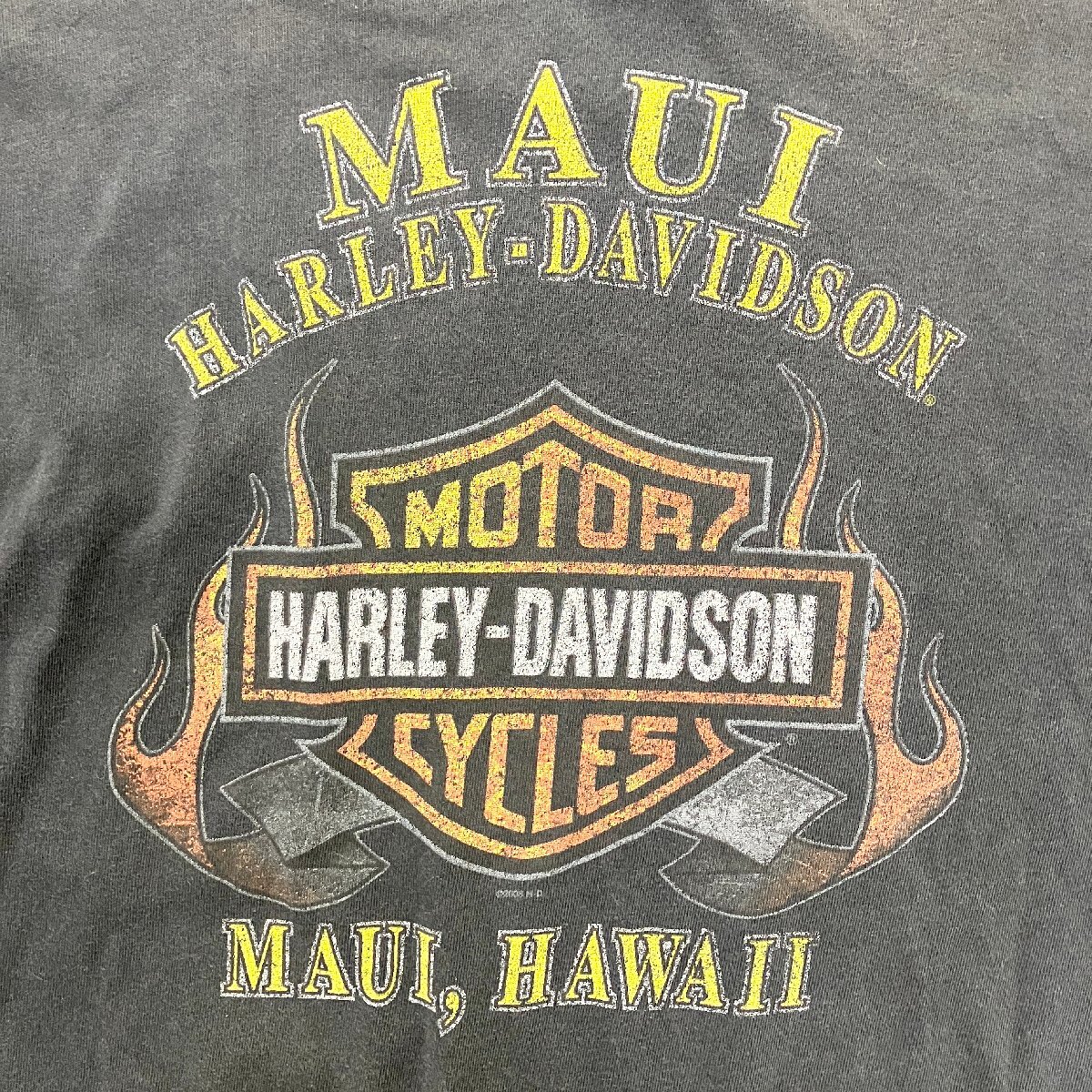 ●HARLEY DAVIDSON ハーレーダビッドソン モーターサイクル バイク Tシャツ カットソー トップス 長袖 プリント 黒系 メンズ 0.37kg●の画像4