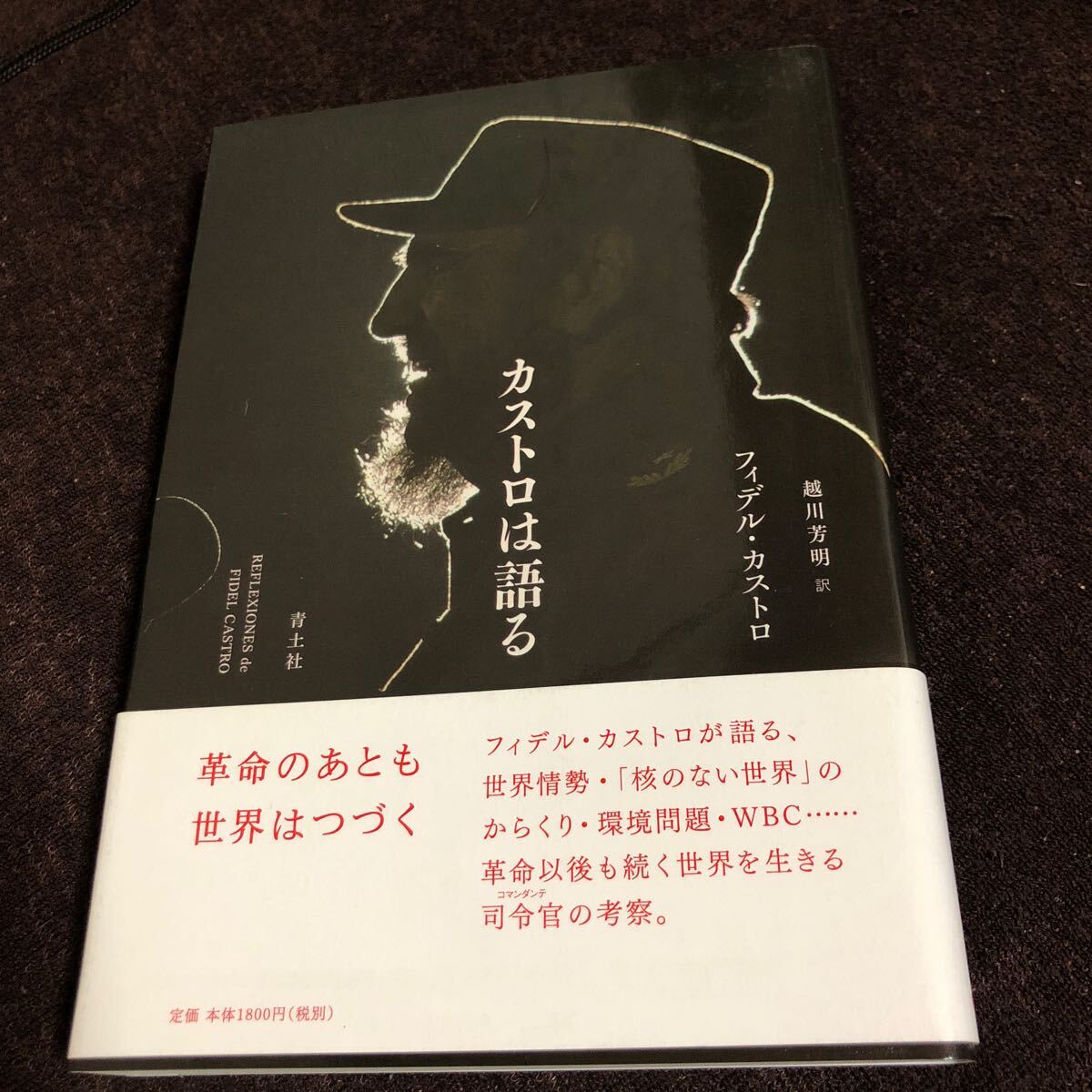 フィデル・カストロ　カストロは語る　キューバ革命　社会主義　ラテンアメリカ　ピースボート　越川芳明　_画像1