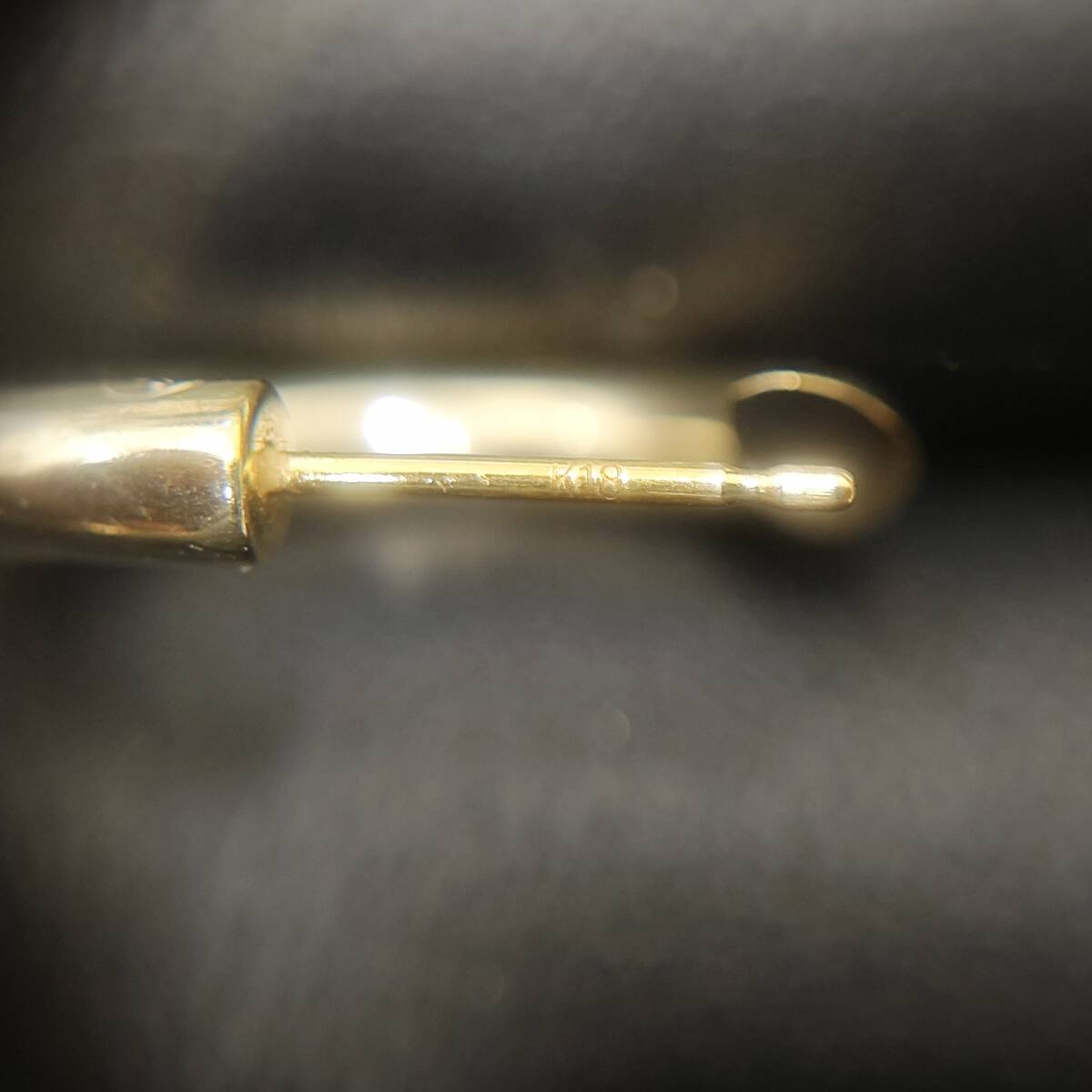  carrier ring pra si-boK18 SV earrings CAREERING silver Gold 