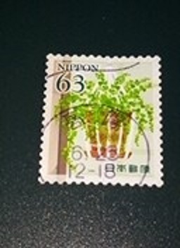 使用済満月印　2021年ライフ・花（1）_画像1