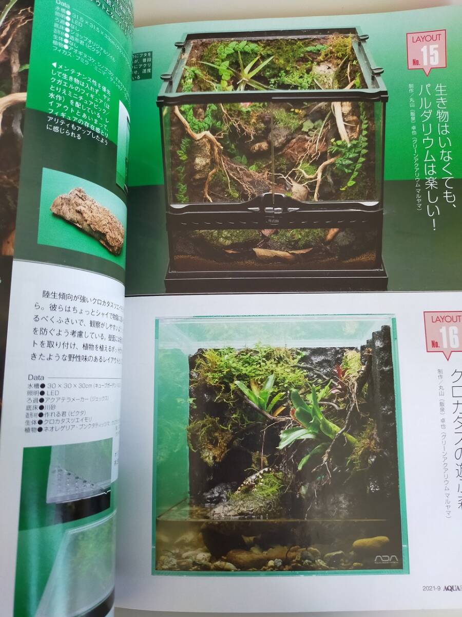 月刊 アクアライフ AQUA LIFE 2021年9月 No.506 30cmキューブ水槽　メダカ鉢のビオトープ植物　【即決】_画像3