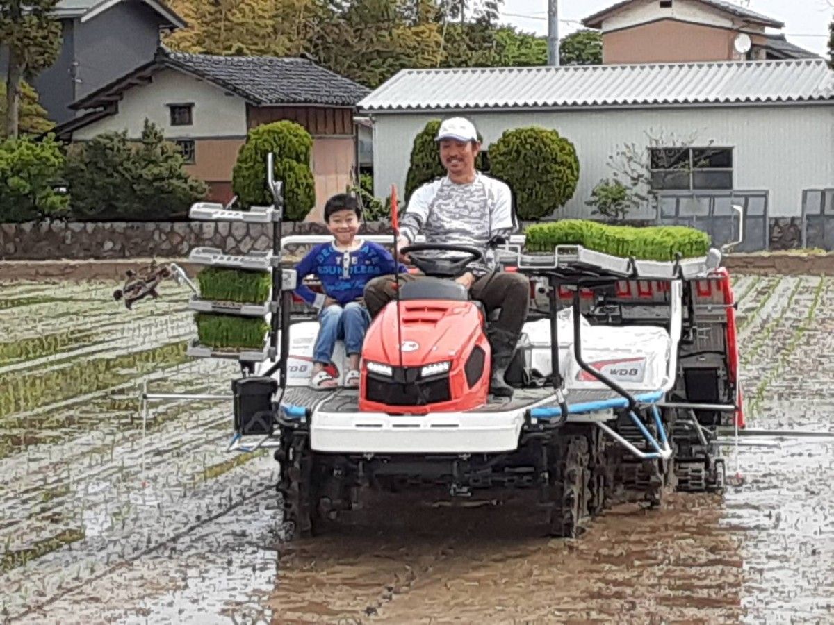 無農薬米新潟県産コシヒカリ20k