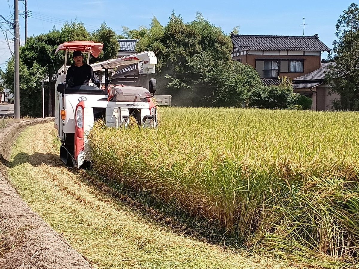 特別栽培米新潟県産ミルキークイーン10k