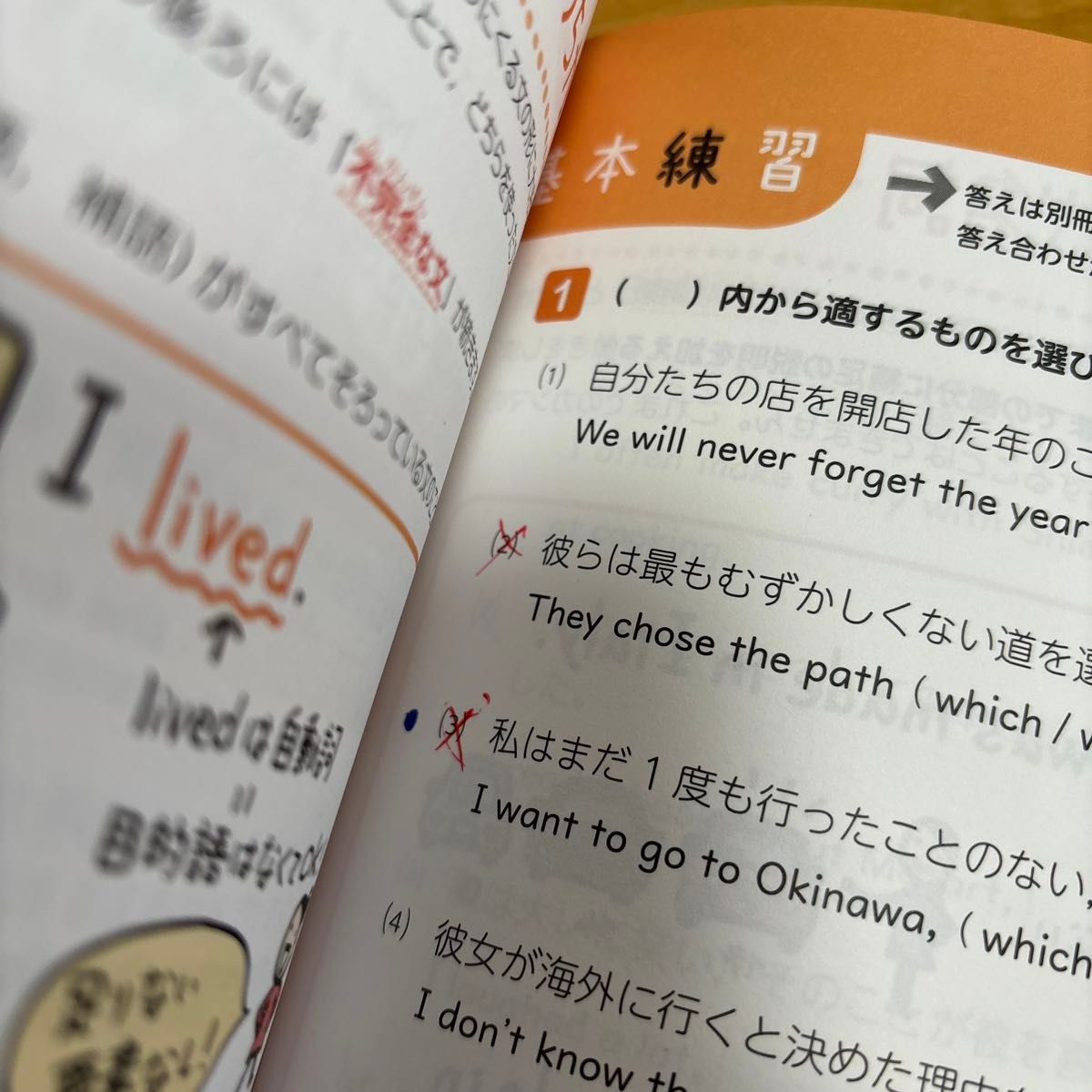 高校英文法をひとつひとつわかりやすく。 （改訂版） 富岡恵／著