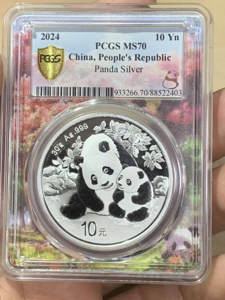 2024年新発売パンダ銀貨 PCGS最高鑑定 中国パンダ銀貨 収蔵品放出 未使用 超美品極美品 希少 非常に入手困難 の画像1